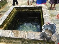 le terme